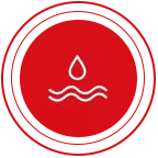 Ampia compatibilità con fluidi e gas