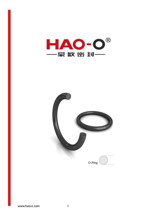 Catalogo O-ring HAO-O Seal